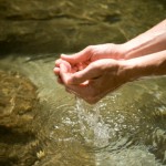 Cupping Water